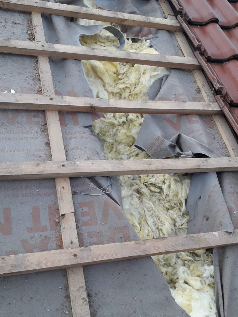 zniszczenia po kunie