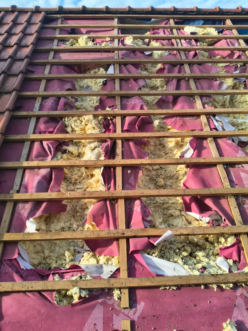 mocno zniszczona wełna