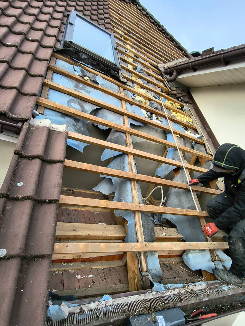 zniszczenia po kunie