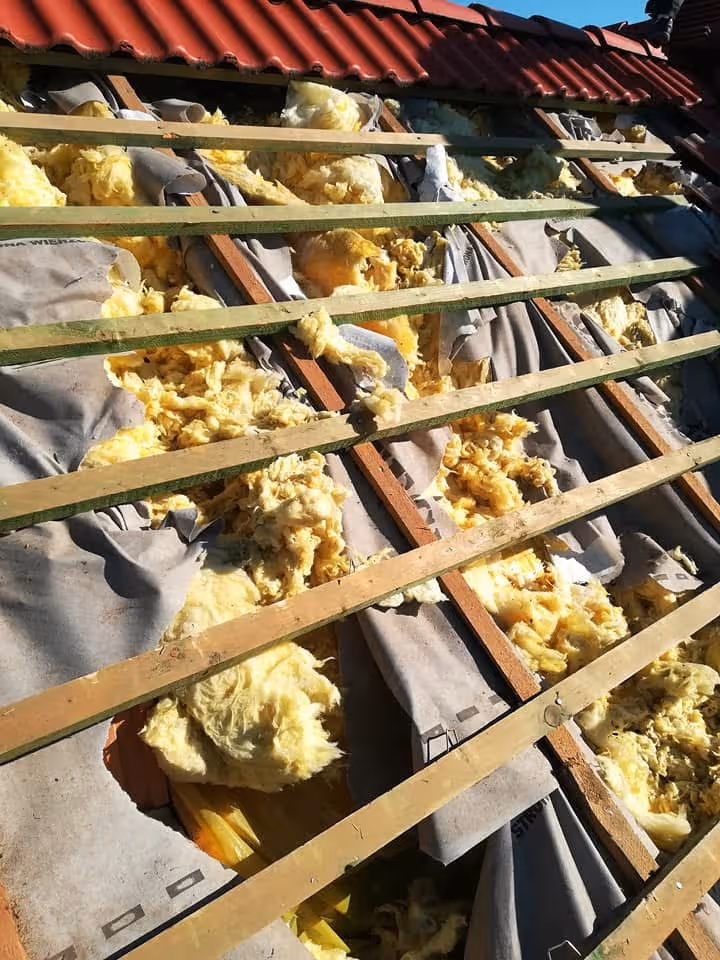 hero naprawa izolacji po kunach